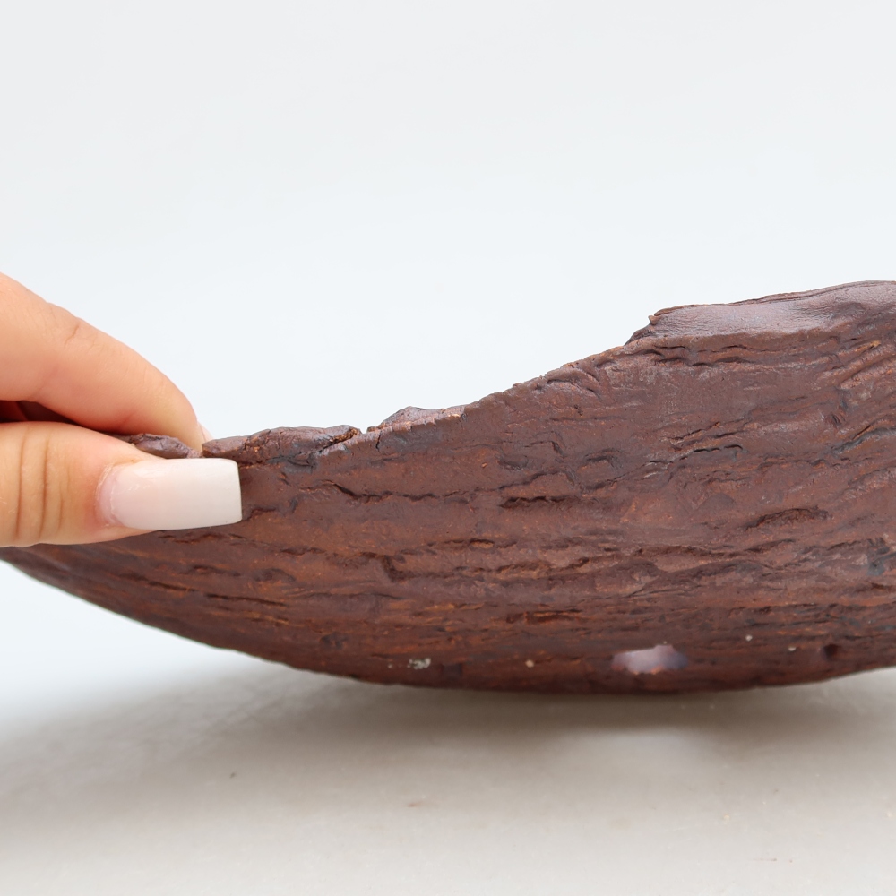Ceramiczna skorupa  30,5 x 19 x 6 cm, kolor brązowy