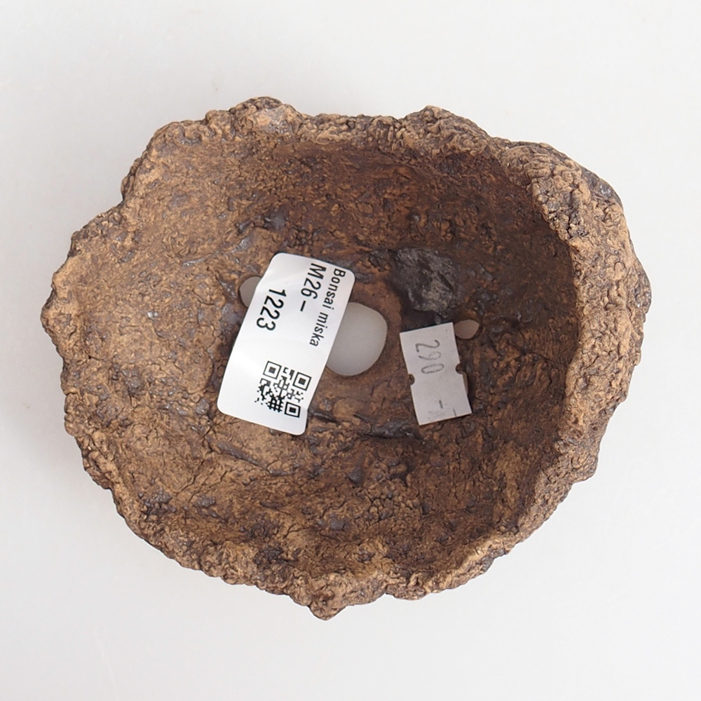 Muszla ceramiczna 10 x 8 x 9 cm, kolor brązowy