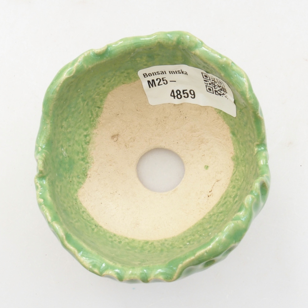 Muszla ceramiczna 7 x 7 x 5 cm, kolor zielony
