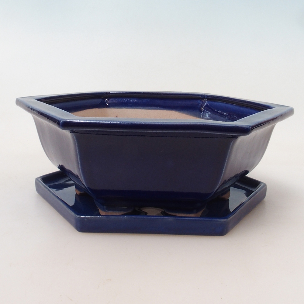 Miska do bonsai + podstawka H53 – 19 x 21,5 x 7 cm. – niebieska