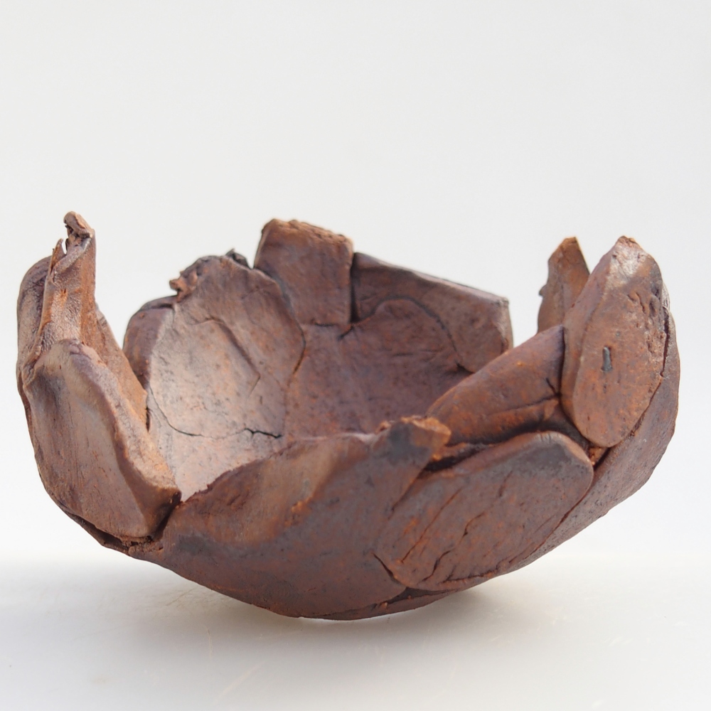 Ceramiczna skorupa 8,5 x 8,5 x 5,5 cm, kolor brązowy