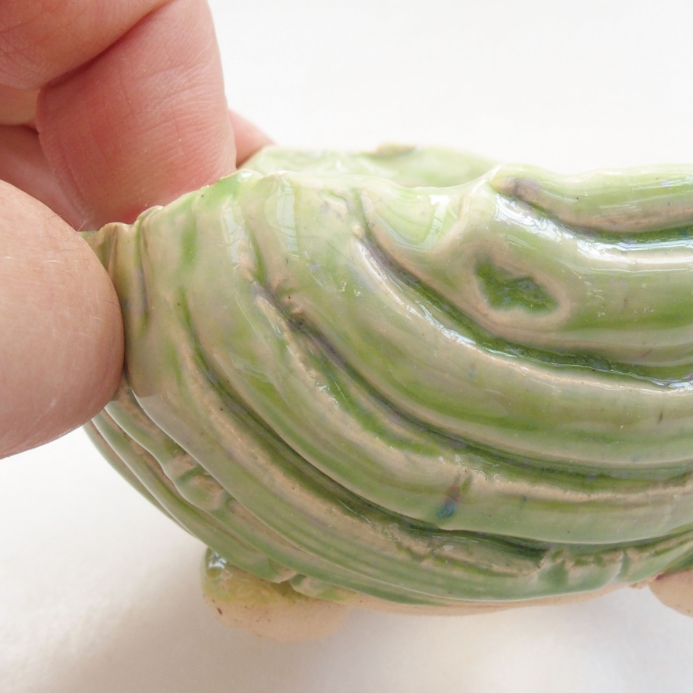 Muszla ceramiczna 7,5 x 7,5 x 5 cm, kolor zielony