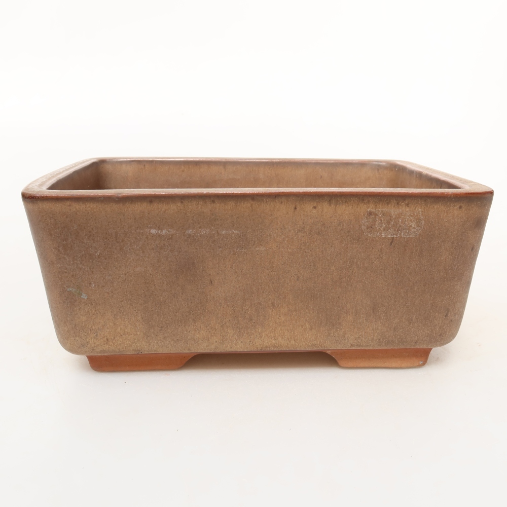 Ceramiczna skorupa  19,5 x 15 x 8,5 cm, kolor brązowy