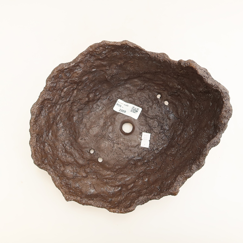 Ceramiczna skorupa 22 x 18 x 17 cm, kolor brązowy