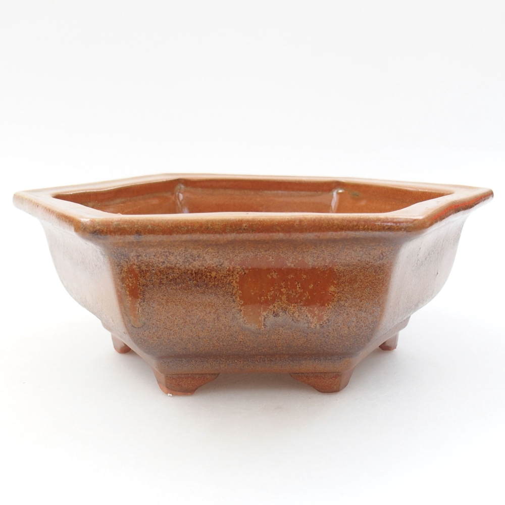 Ceramiczna miska bonsai 17 x 15 x 6 cm, kolor brązowy