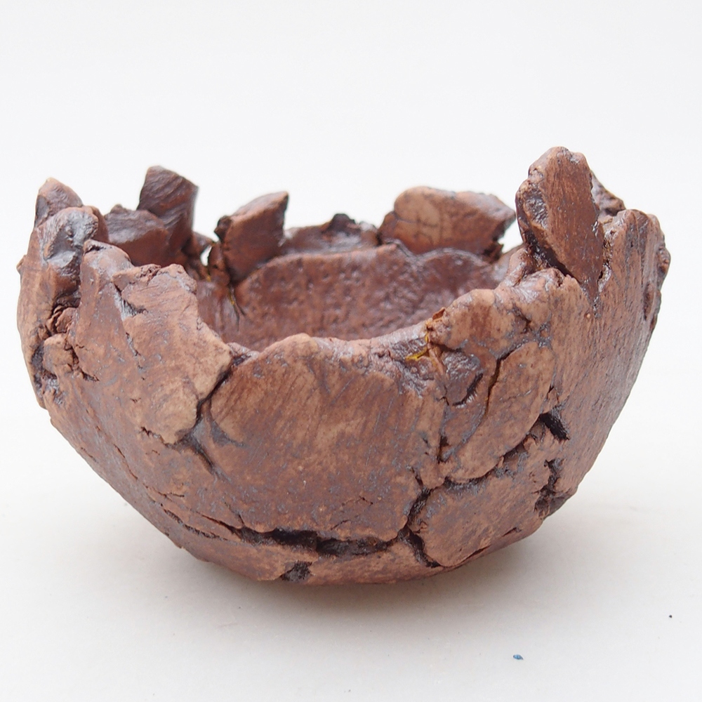 Muszla ceramiczna 9 x 9 x 5,5 cm, kolor brązowy