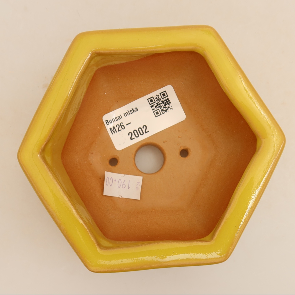 Ceramiczna miska do bonsai 12 x 10,5 x 4 cm, kolor żółty