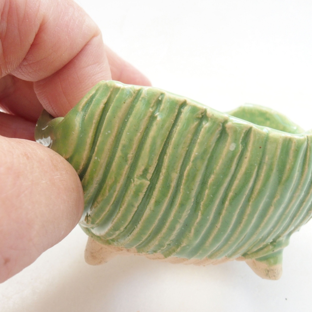 Muszla ceramiczna 7,5 x 7 x 4,5 cm, kolor zielony
