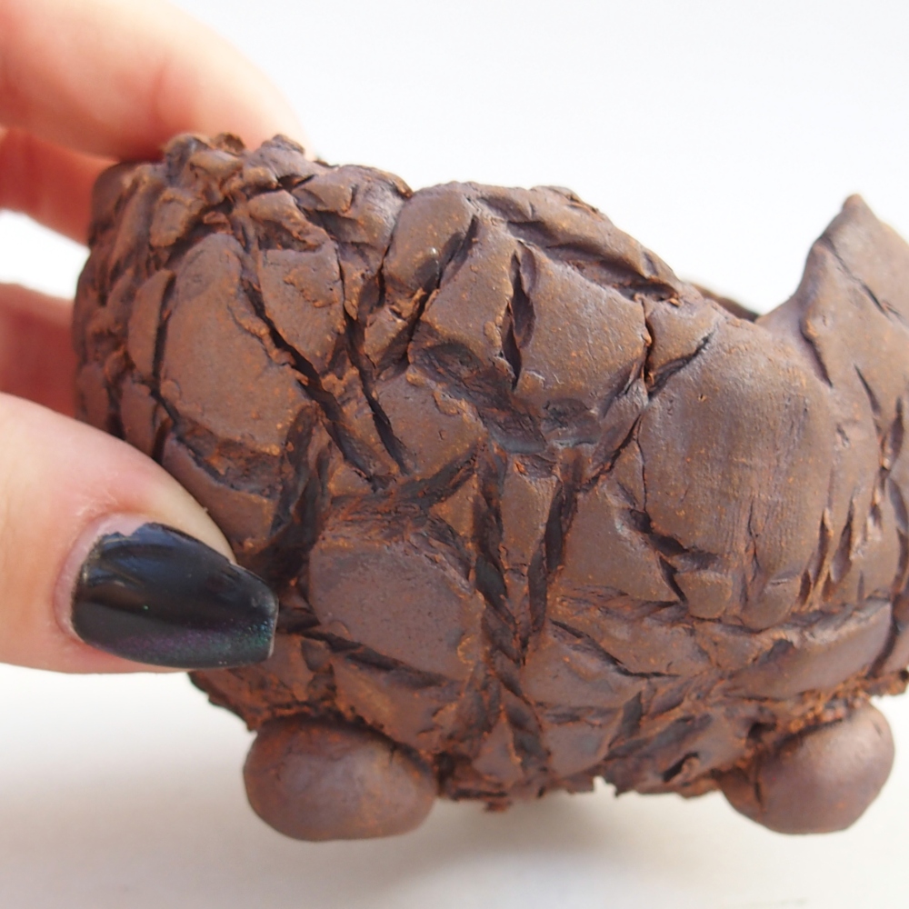 Ceramiczna muszla 8,5 x 8,5 x 6 cm, kolor brązowy