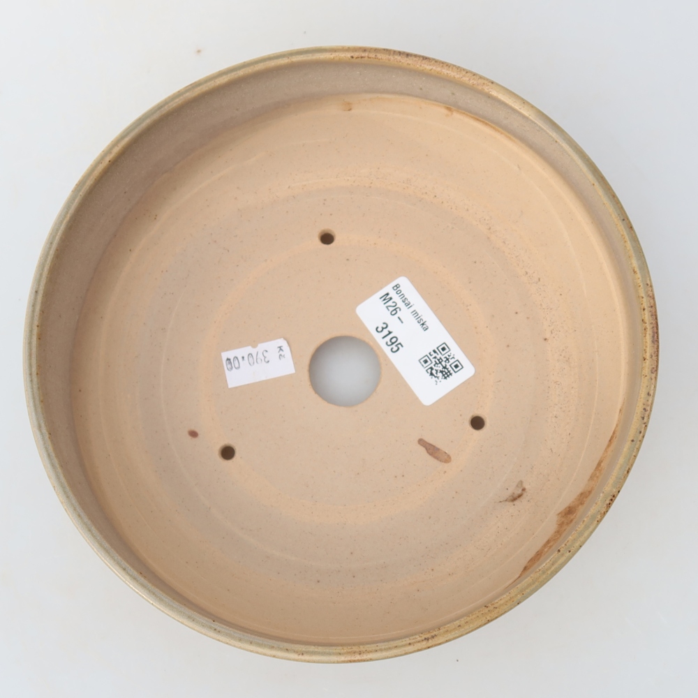 Ceramiczna miska do bonsai 17,5 x 17,5 x 6 cm, kolor beżowy