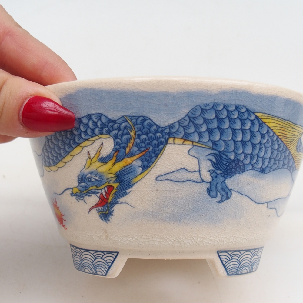 Ceramiczna miska do bonsai 12 x 12 x 6,5 cm, kolor niebiesko-biały