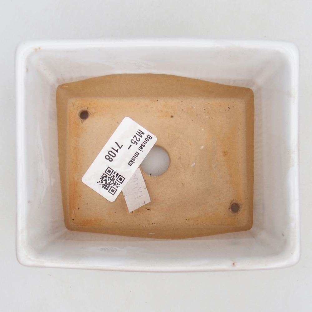 Ceramiczna miska do bonsai 11,5 x 9,5 x 6 cm, biała