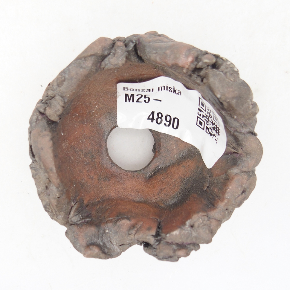 Muszla ceramiczna 6 x 6 x 4 cm, kolor brązowy