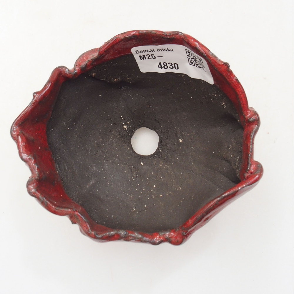 Muszla ceramiczna 9,5 x 8 x 5 cm, kolor czerwony