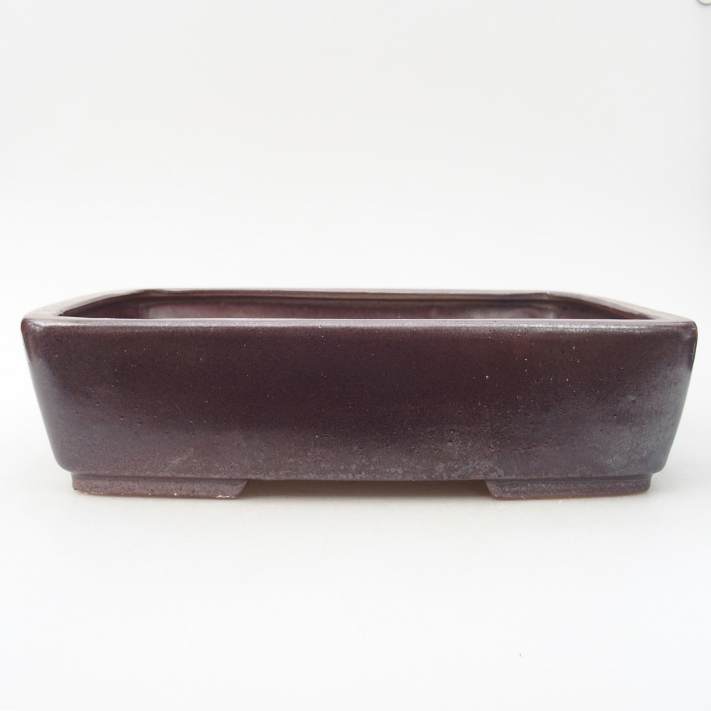 Ceramiczna miska do bonsai 26,5 x 20,5 x 6,5 cm, bordowa