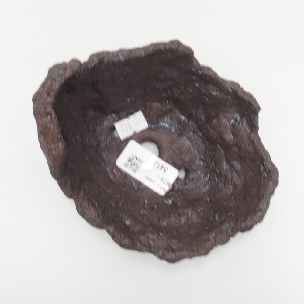 Muszla ceramiczna 13 x 10,5 x 12 cm, kolor brązowy