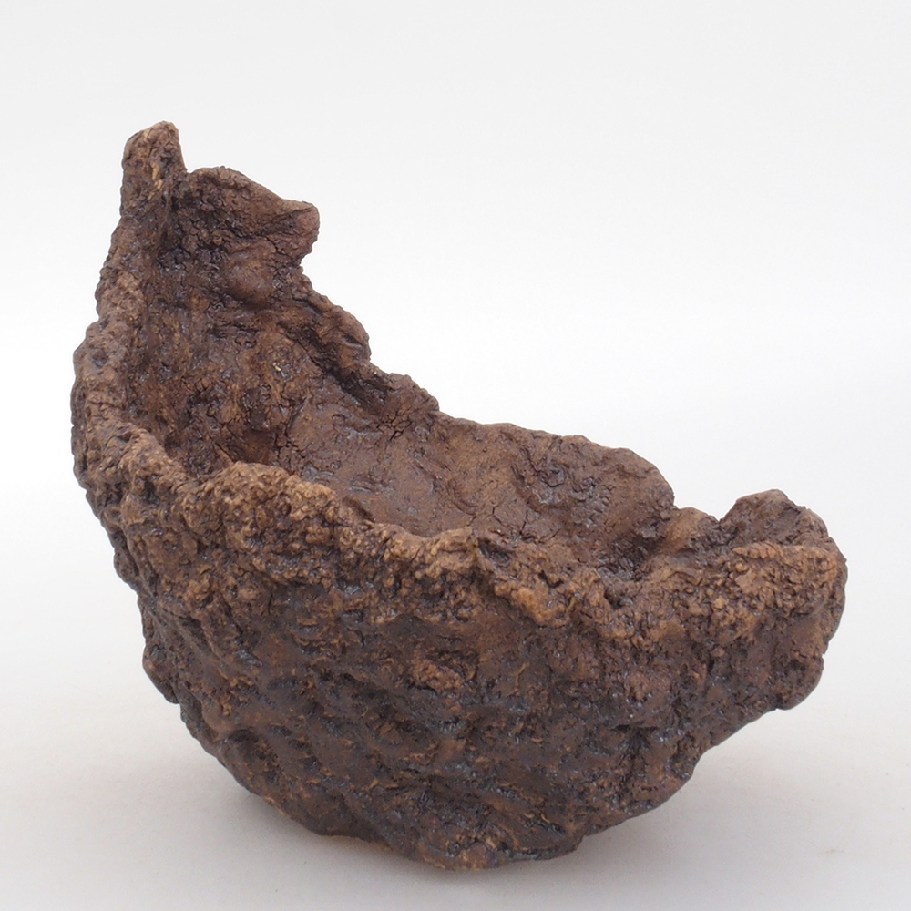 Muszla ceramiczna 13,5 x 12 x 13,5 cm, kolor brązowy
