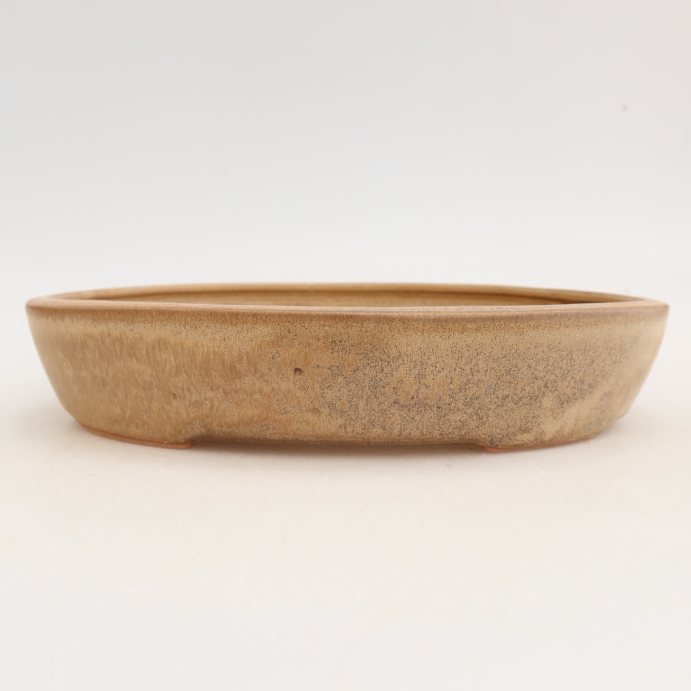 Ceramiczna miska do bonsai 22 x 17 x 4 cm, kolor beżowy