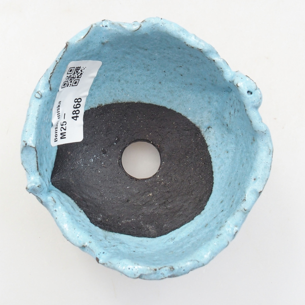 Muszla ceramiczna 9 x 8,5x 6,5 cm, kolor niebieski