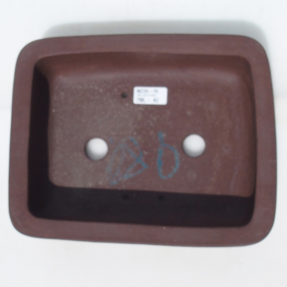 Misa bonsai 30 x 24 x 7,5 cm brzoza brązowa