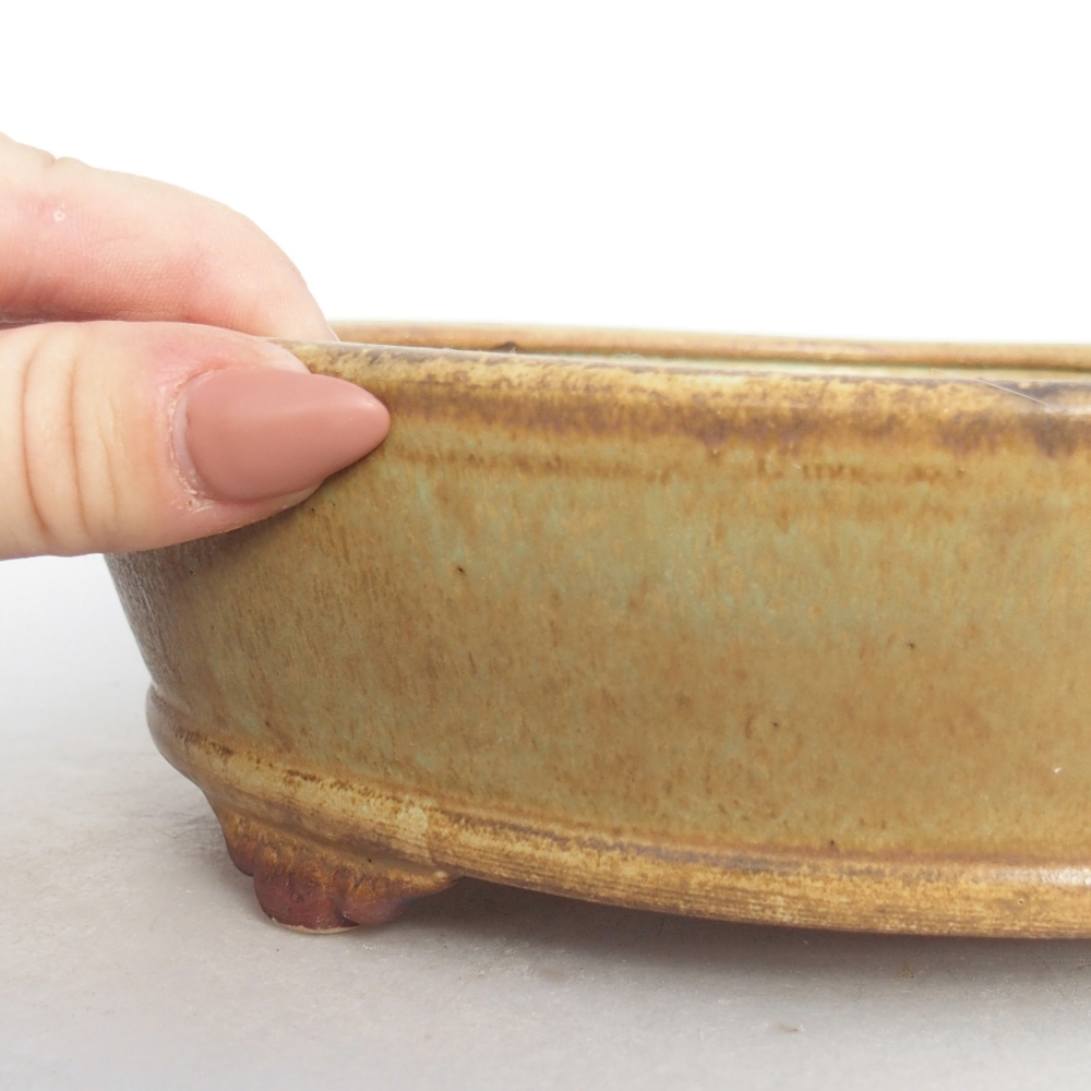 Ceramiczna miska bonsai 21 x 21 x 6 cm, zielona