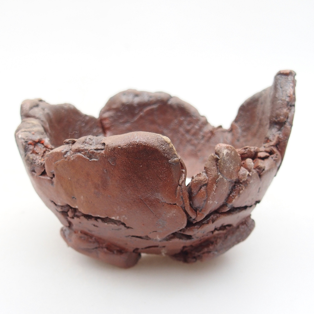 Muszla ceramiczna 10 x 9 x 7 cm, kolor brązowy
