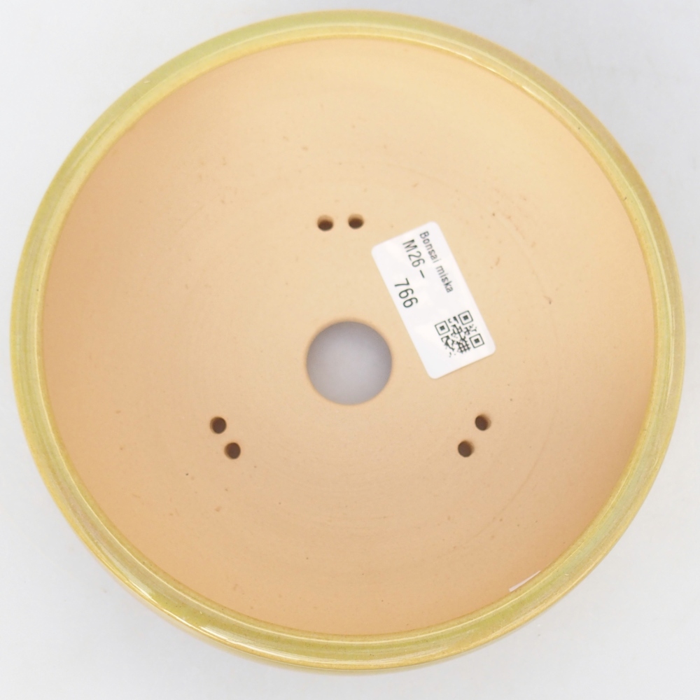 Ceramiczna miska do bonsai 15,5 x 15,5 x 5,5 cm, żółto-zielona