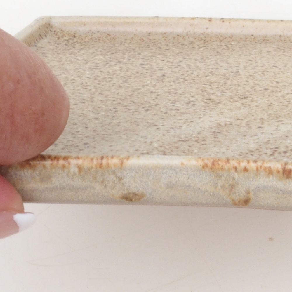 Bonsai bowl square L - 14 x 14 x 1 cm - beżowy