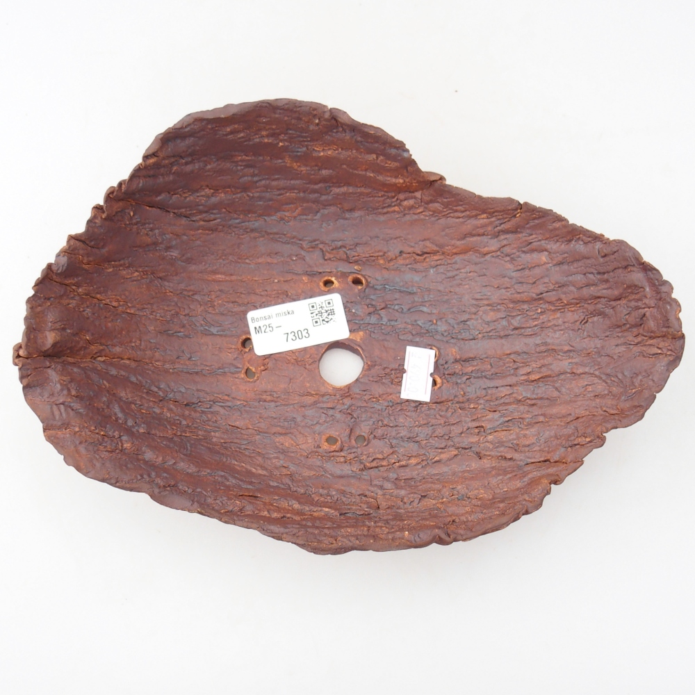 Ceramiczna muszla 24 x 17 x 7 cm, kolor brązowy