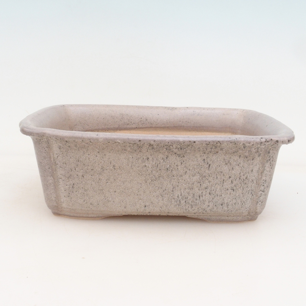 Spodek bonsai H50 - 17 x 12,5 x 5,5 cm. - zielony