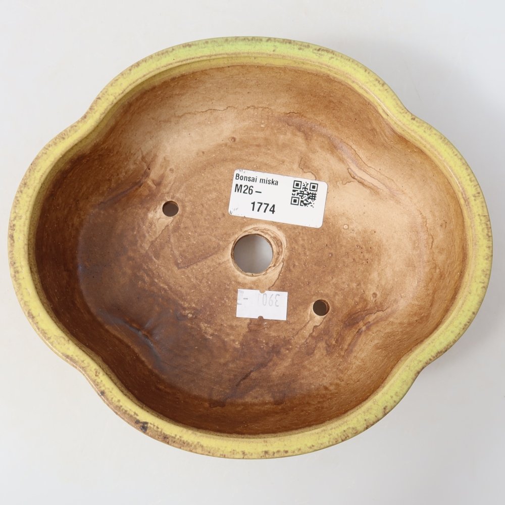 Ceramiczna miska do bonsai 17,5 x 15,5 x 5,5 cm, kolor żółty