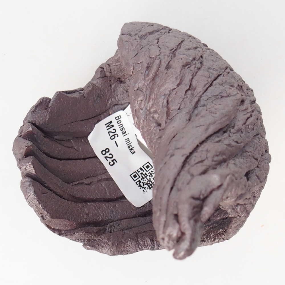 Muszla ceramiczna 9 x 8,5 x 13,5 cm, kolor metaliczny