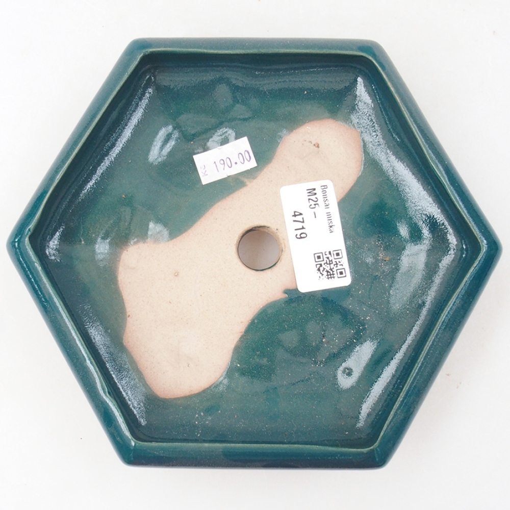 Ceramiczna miska bonsai 17 x 15 x 4 cm, kolor zielony