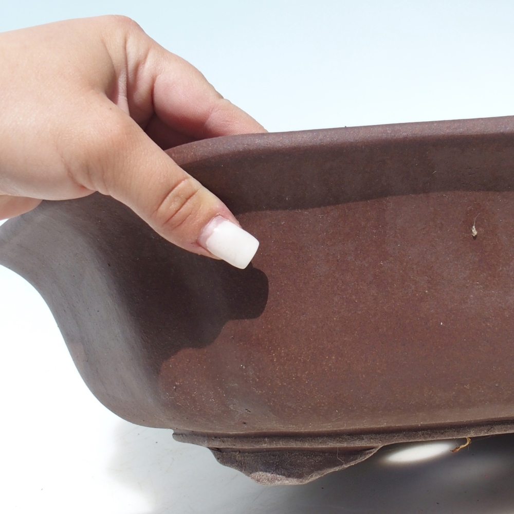 Misa bonsai 39 x 39 x 11,5 cm brzoza brązowa