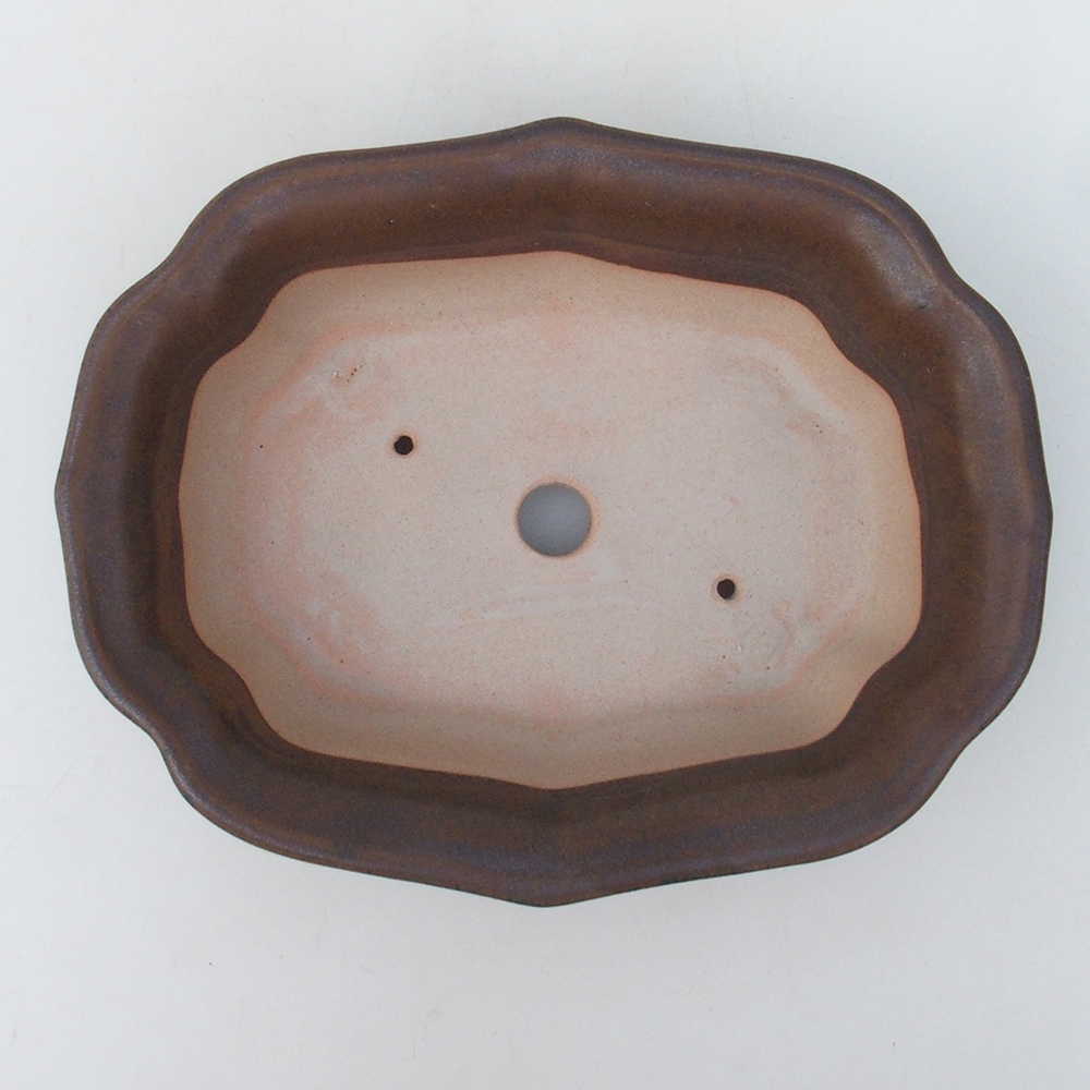 Bonsai bowl H51 - 18 x 14 x 5 cm. - brązowy