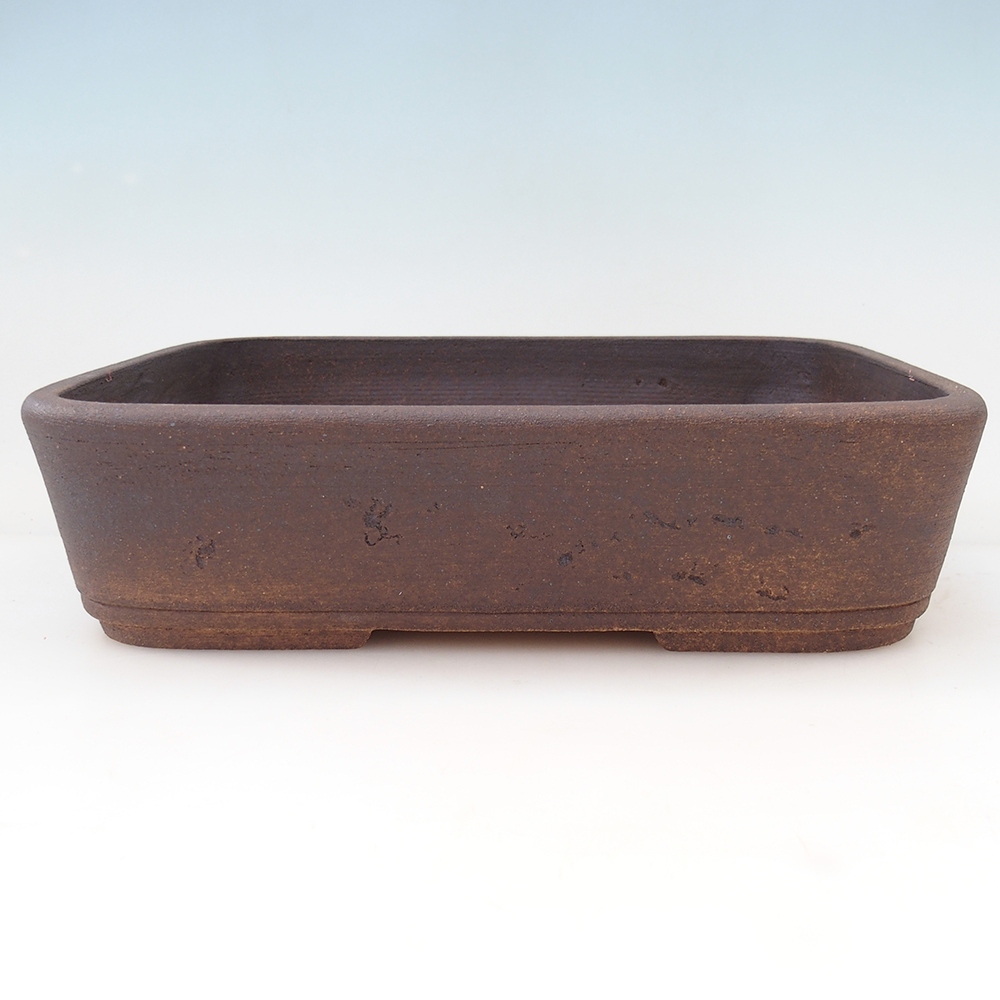Misa bonsai 30 x 24 x 8 cm, kolor brązowy