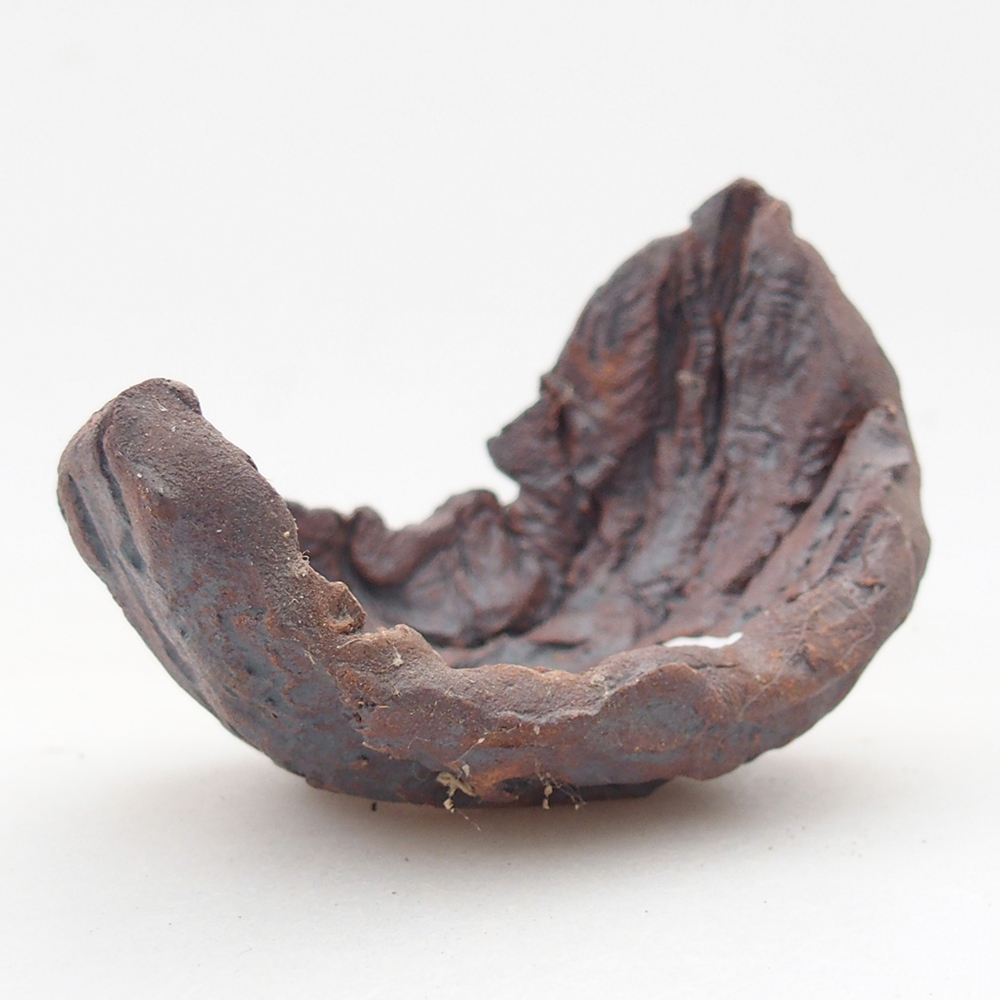 Ceramiczna muszla 7,5 x 5,5 x 6 cm, kolor brązowy