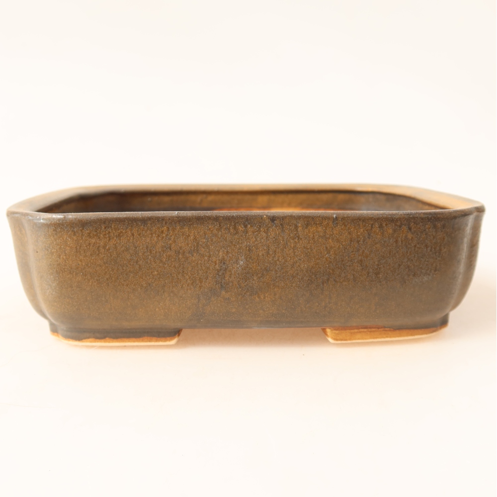 Ceramiczna miska do bonsai 18 x 14 x 4,5 cm, kolor brązowy