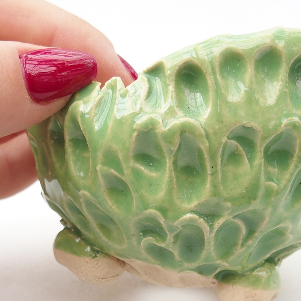 Muszla ceramiczna 7,5 x 7 x 6 cm, kolor zielony