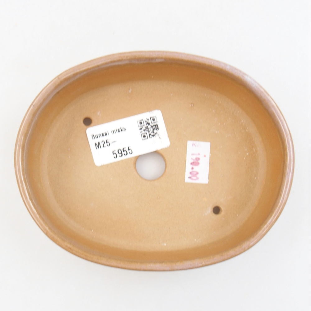 Ceramiczna miska bonsai 13 x 10 x 4 cm, kolor beżowy