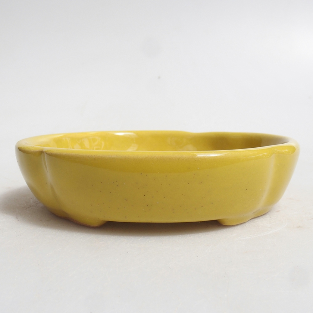 Ceramiczna miska bonsai 11 x 11 x 3 cm, kolor żółty