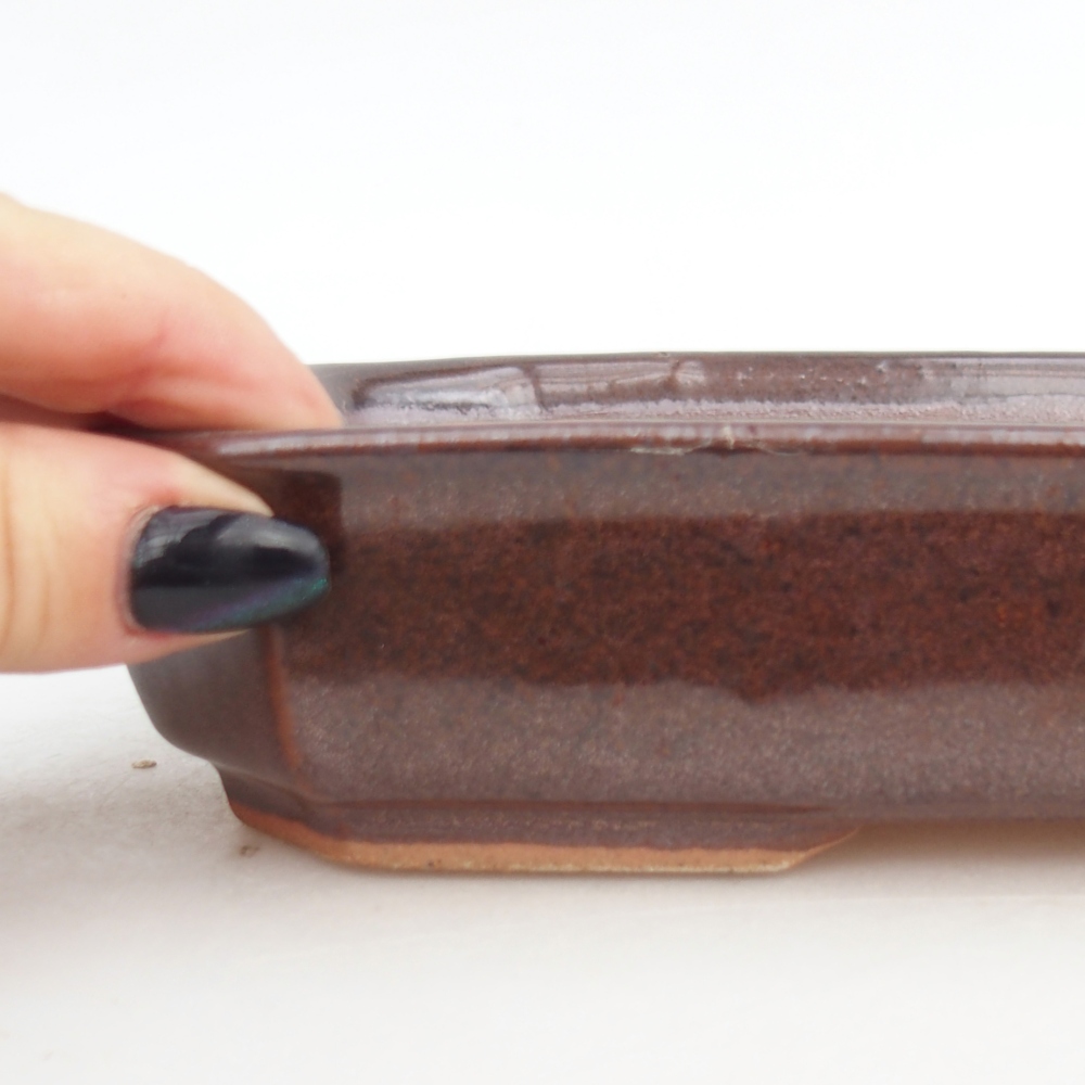 Ceramiczna miska do bonsai 18,5 x 13,5 x 4,5 cm, brązowa