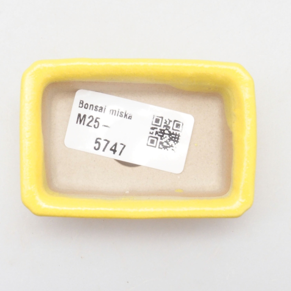Ceramiczna miska bonsai 7 x 4,5 x 2 cm, żółta