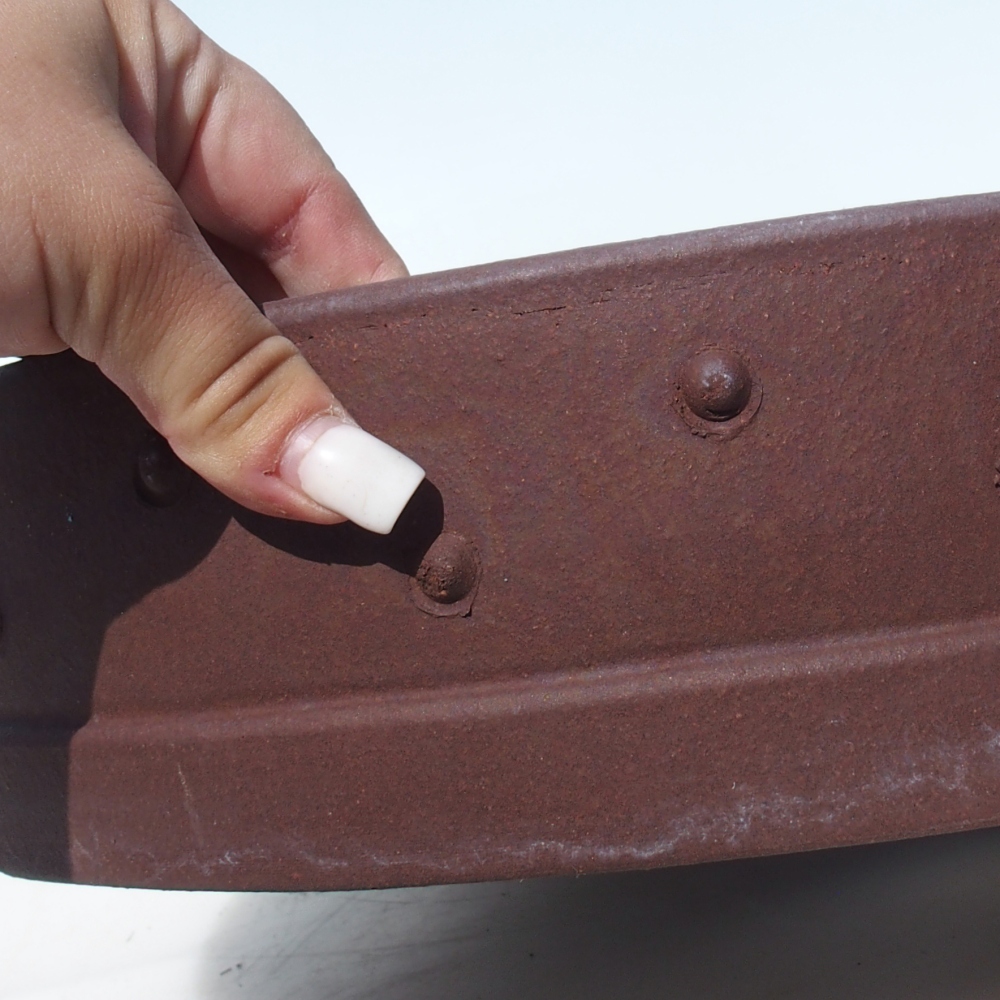 Misa bonsai 37 x 37 x 8,5 cm brzoza brązowa