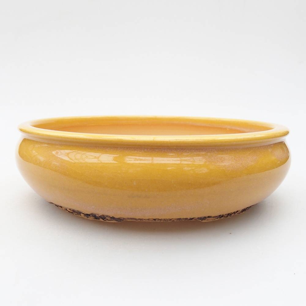 Ceramiczna miska bonsai 18 x 18 x 5 cm, kolor żółty