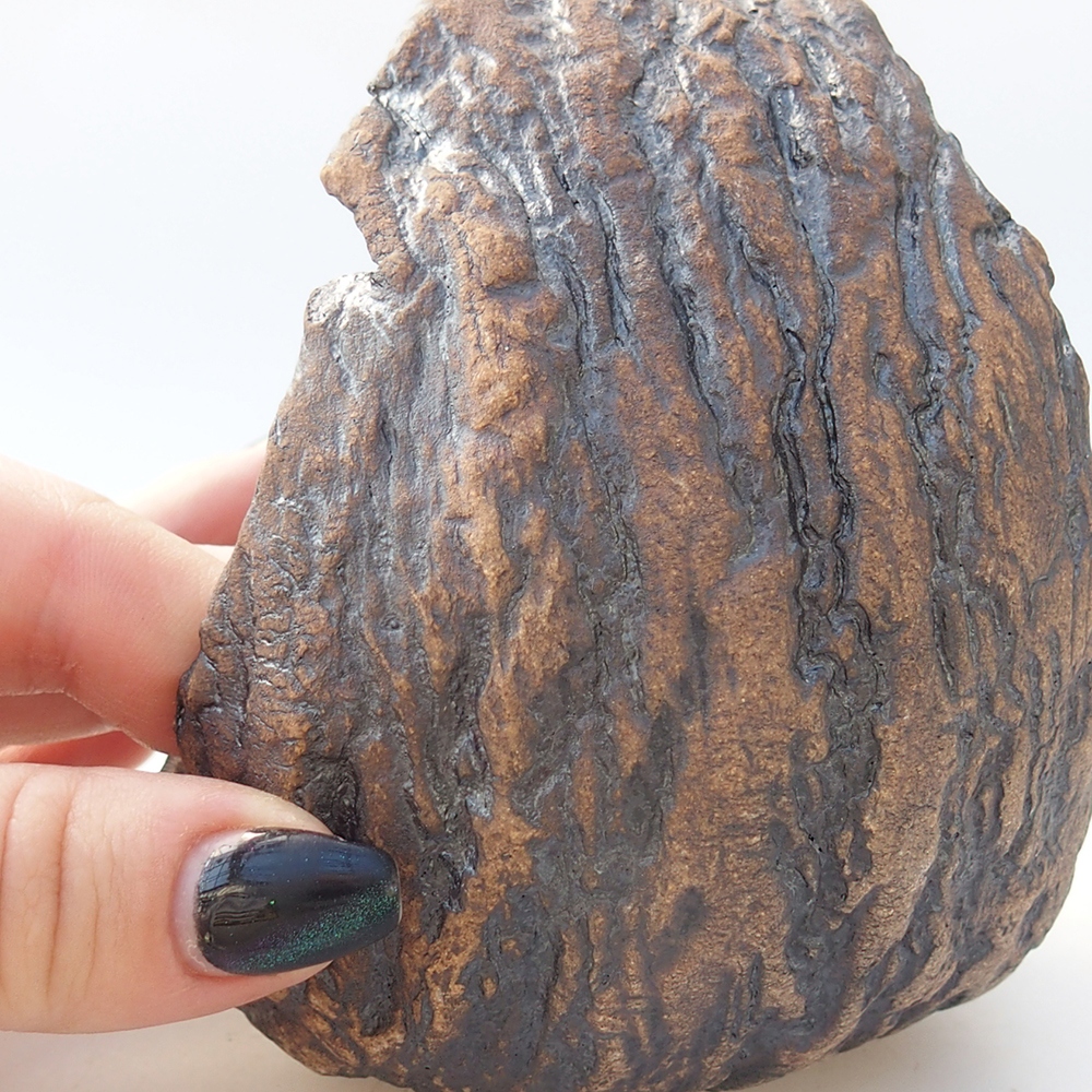 Ceramiczna muszla 9,5 x 9 x 12 cm, kolor brązowy