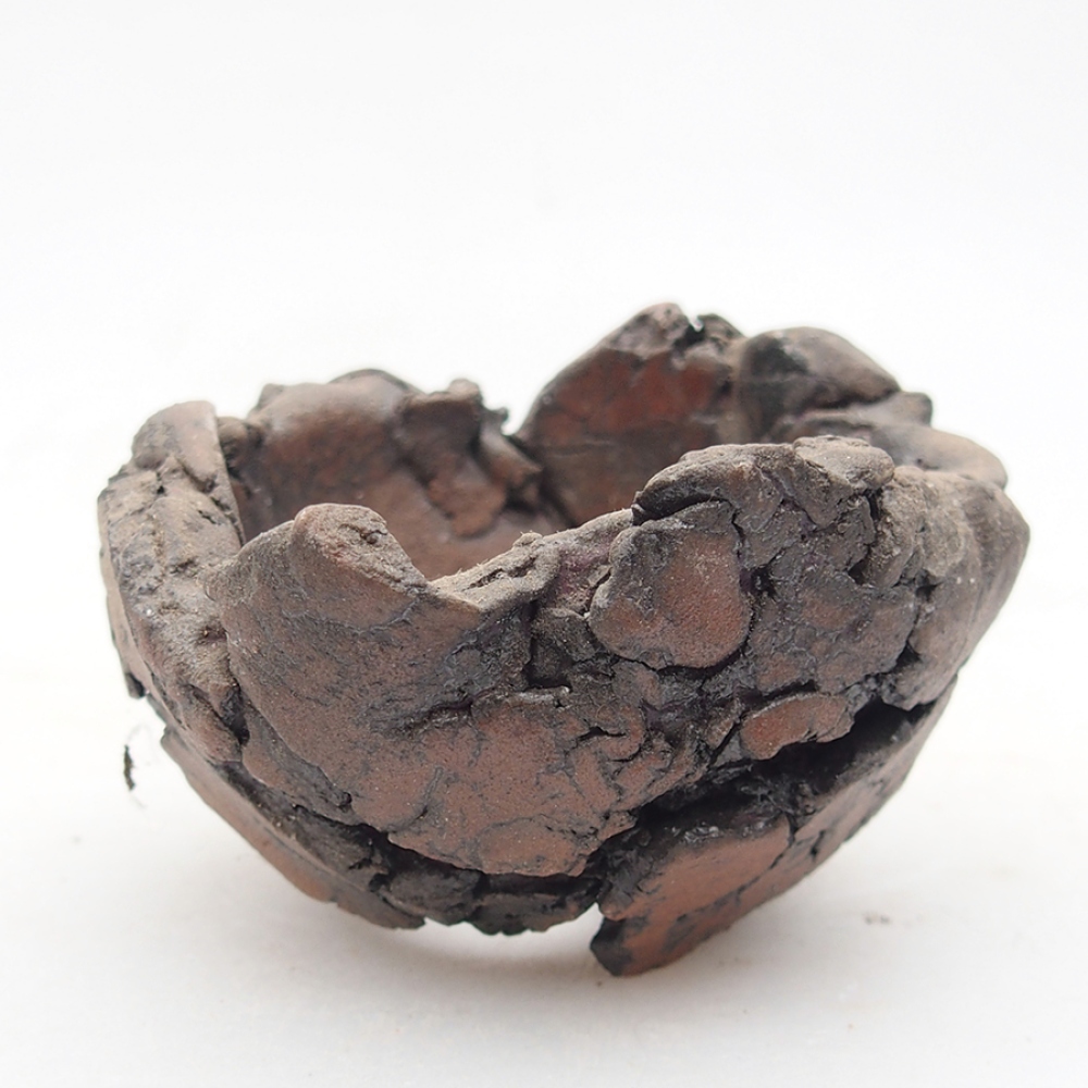 Muszla ceramiczna 6 x 6 x 4 cm, kolor brązowy