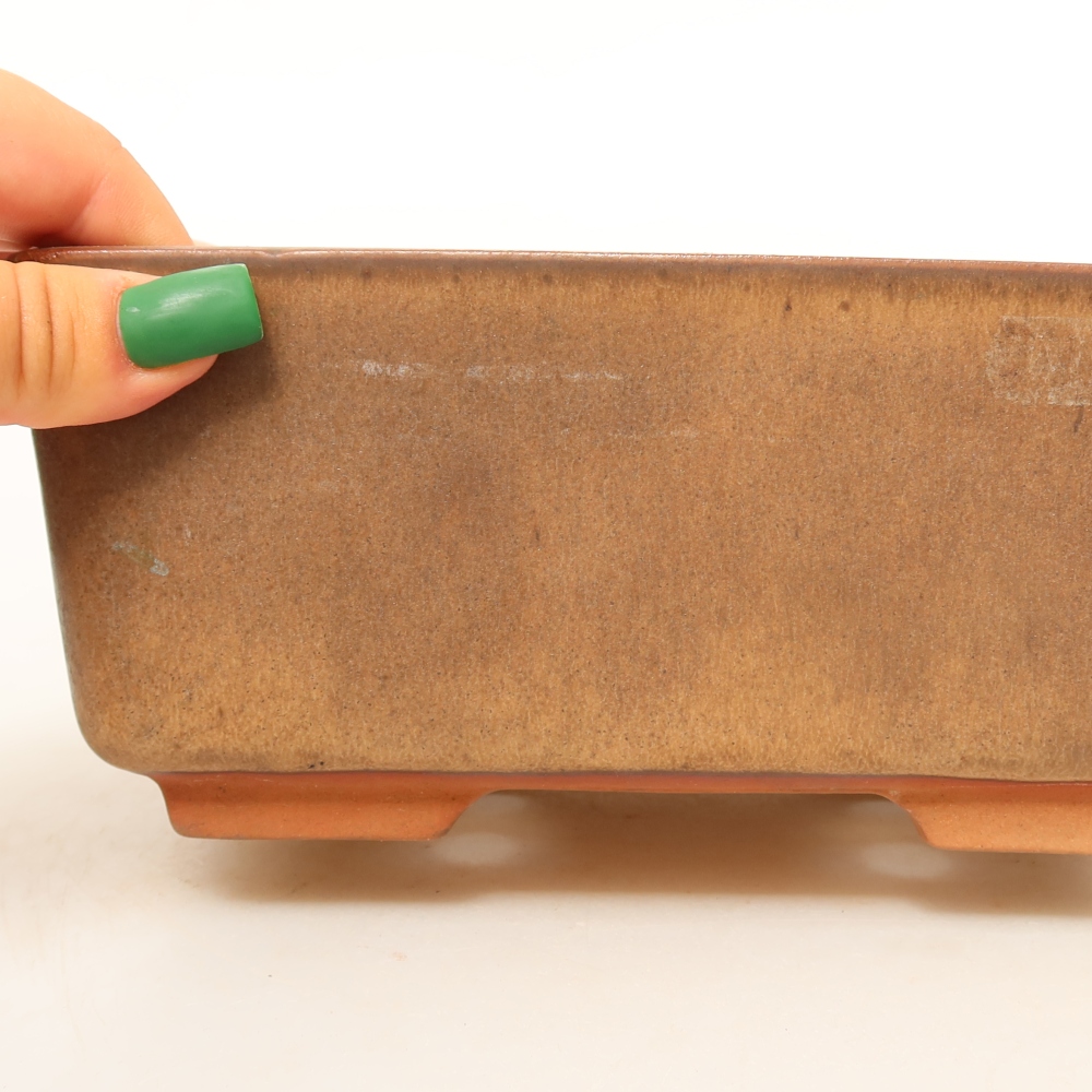 Ceramiczna skorupa  19,5 x 15 x 8,5 cm, kolor brązowy