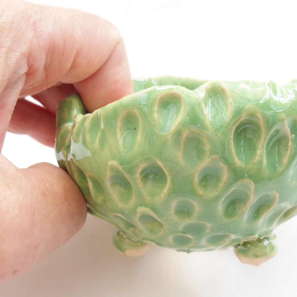 Muszla ceramiczna 7,5 x 7,5 x 5,5 cm, kolor zielony