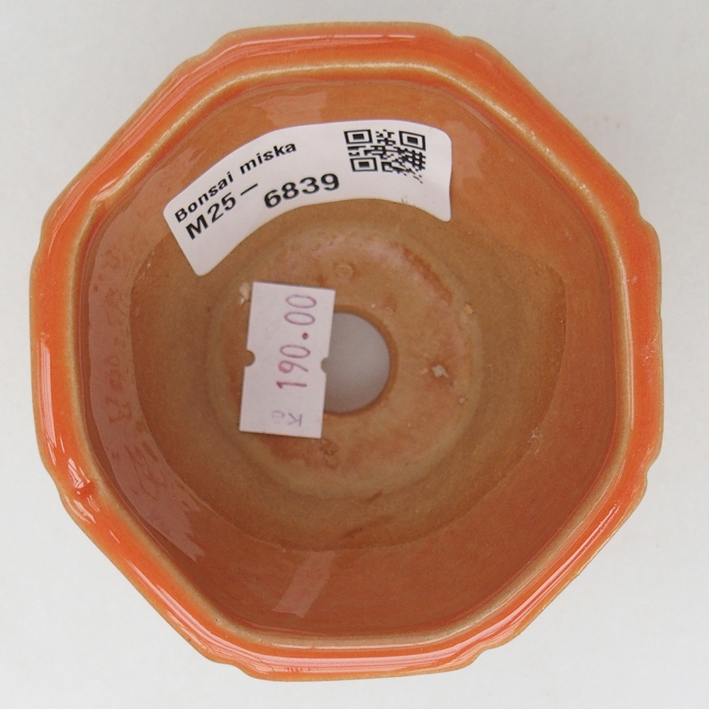 Ceramiczna miska do bonsai 7,5 x 7,5 x 6 cm, pomarańczowa